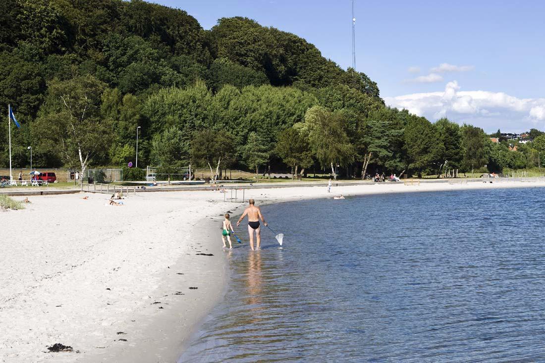 Hotel Hedegaarden Vejle Dış mekan fotoğraf